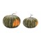 Melrose Traditional Style Pumpkin Fall Harvest Decorations - 7" - Green - Set of 2